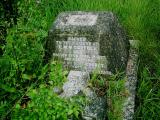 image of grave number 393611